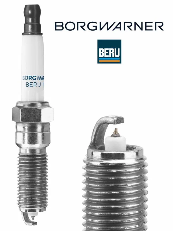 Gyújtógyertya - BorgWarner (BERU) (BERZ376)