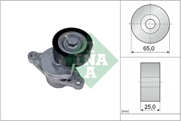 Feszítőkar, Hosszbordás Szíj - Schaeffler INA (534065510)