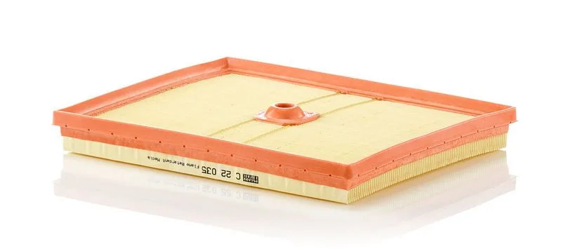 Légszűrő - MANN-FILTER (C22035)
