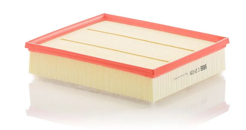Légszűrő - MANN-FILTER (C29036)