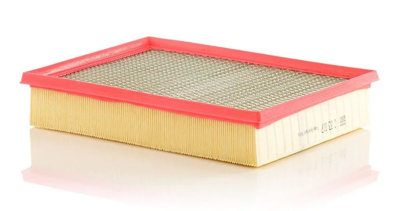 Légszűrő - MANN-FILTER (C33017)