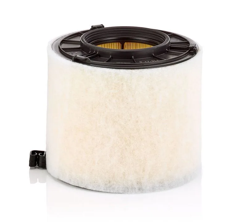 Légszűrő - MANN-FILTER (C17014)