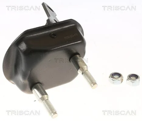 Csapágybak, Tengelytest - TRISCAN (850028534)