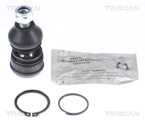 Támasztó-/Vezetőcsukló - TRISCAN (850042561)