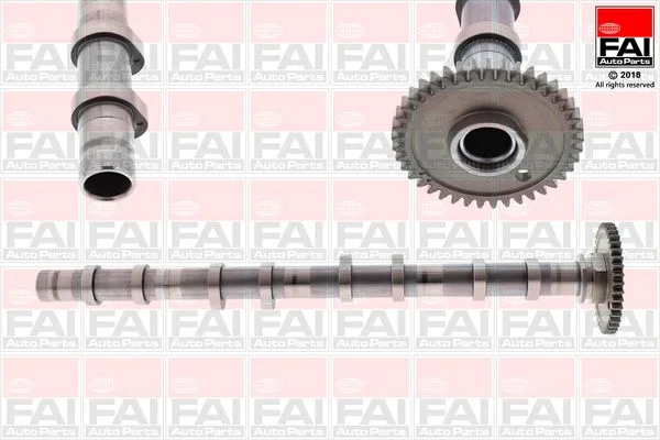 Vezérműtengely - FAI AutoParts (C393)