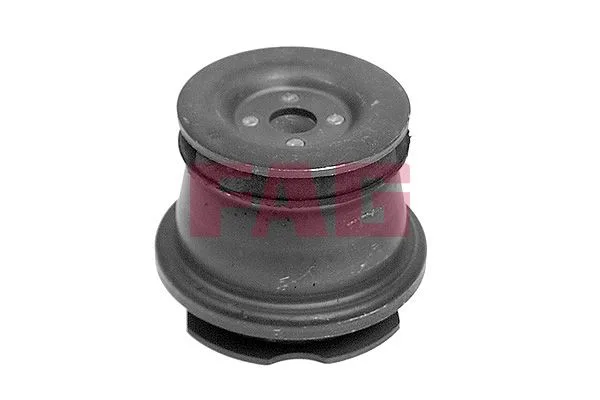 Csapágy, Tengelytest - Schaeffler FAG (829048910)