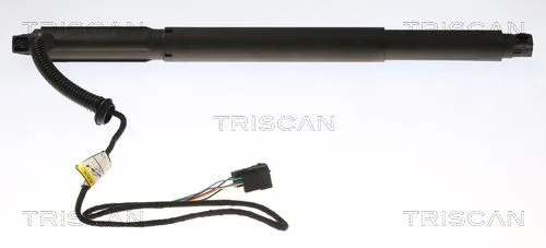 Gázrugó, Csomag-/Poggyásztér - TRISCAN (871011301)