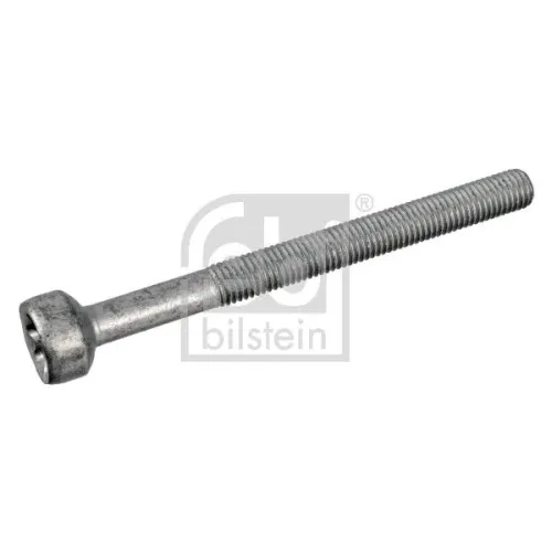 Csavar, Befecskendező Fúvóka Tartó - FEBI BILSTEIN (FE172930)