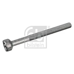 Csavar, Befecskendező Fúvóka Tartó - FEBI BILSTEIN (FE172930)