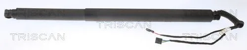 Gázrugó, Csomag-/Poggyásztér - TRISCAN (871029311)