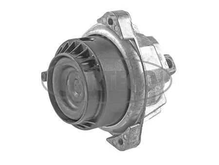 Felfüggesztés, Motor - CORTECO (49357939)