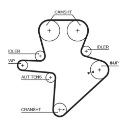 Fogasszíj - GATES (GAT5586XS)