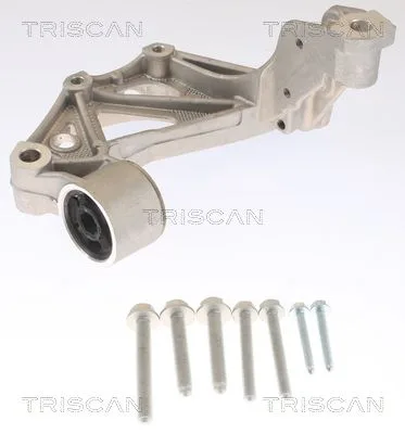 Csapágybak, Tengelytest - TRISCAN (8500295261)