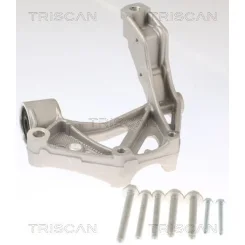 Csapágybak, Tengelytest - TRISCAN (8500295262)
