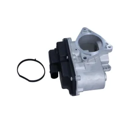 Agr-Szelep - MAXGEAR (27-4031)