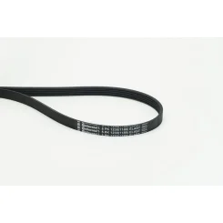Pasek Wielorowkowy 5Pk1230 Elast - CONTINENTAL CTAM (5PK1230ELAST)