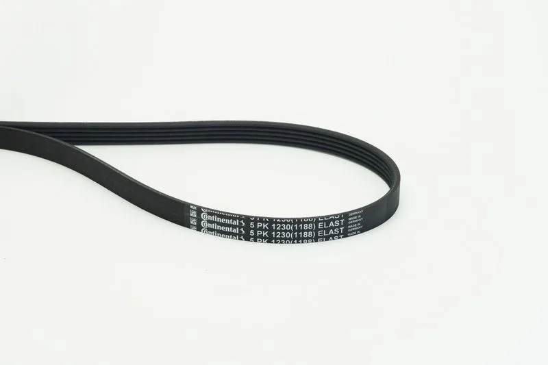 Pasek Wielorowkowy 5Pk1230 Elast - CONTINENTAL CTAM (5PK1230ELAST)