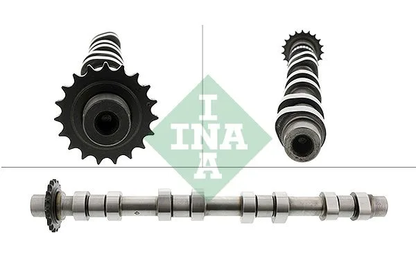 Wałek Rozrzľdu Citroen Ss. C5 2.2 Hdi - Schaeffler INA (428020410)