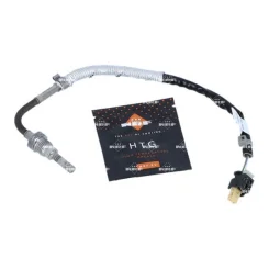 Érzékelő, Kipufogógáz-Hőmérséklet - NRF (NRF707089)