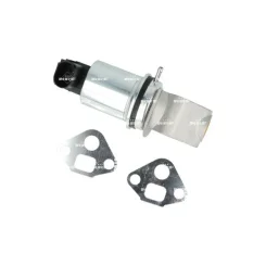 Zawór Egr Vw Passat 1,6 00- - NRF (NRF48744)