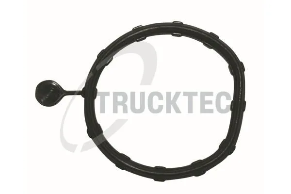 Uszczelka Przewodu Db W204 - TRUCKTEC AUTOMOTIVE (02.19.346)