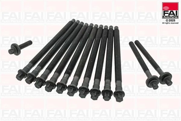 Ruby Głowicy Bmw 1.6 13Szt. - FAI AutoParts (B1460)