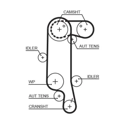 Fogasszíj - GATES (GAT5565XS)