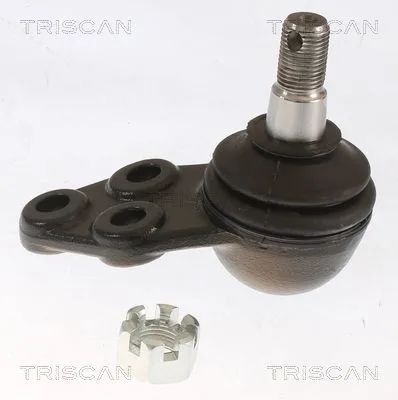 Támasztó-/Vezetőcsukló - TRISCAN (850044511)