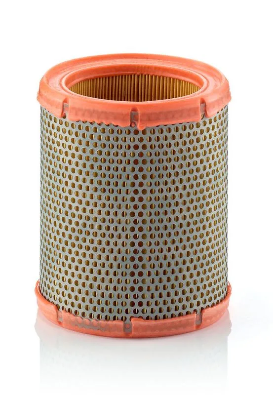 Légszűrő - MANN-FILTER (C1460)