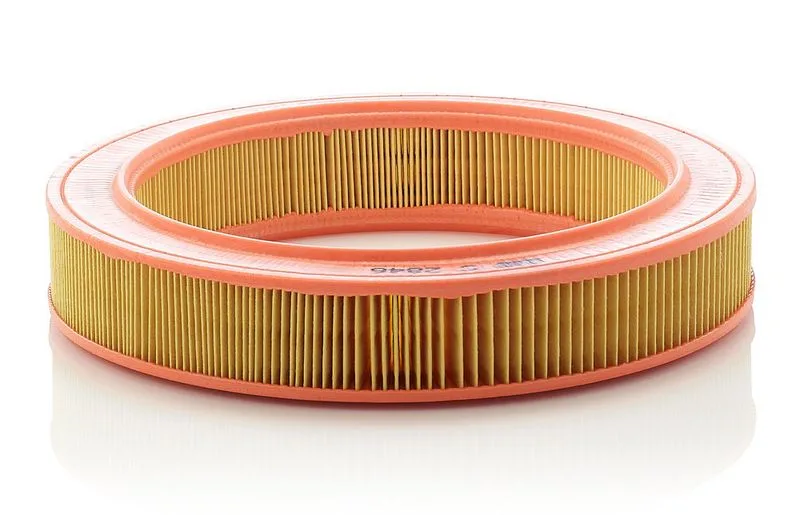 Légszűrő - MANN-FILTER (C2846)