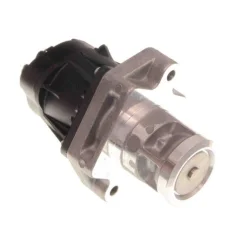Agr-Szelep - MAXGEAR (27-4133)