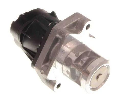 Agr-Szelep - MAXGEAR (27-4133)
