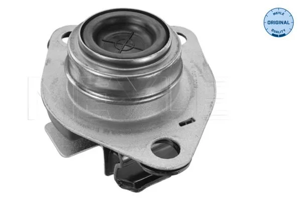 Felfüggesztés, Motor - MEYLE (16-140300029)