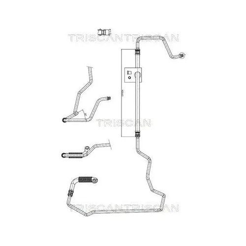 Przewód Wspomagania Peugeot 206, 206 Cc 00- - TRISCAN (851628002)
