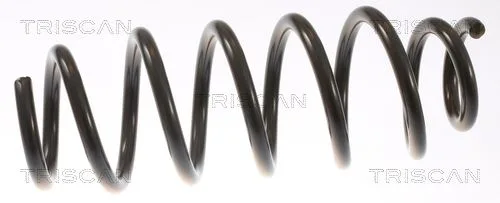 Sprʯyna Zaw. Tesla P. Model 3 Ev 18- - TRISCAN (87508101)