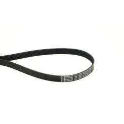 Pasek Wielorowkowy 7Pk1195 Elast - CONTINENTAL CTAM (7PK1195ELAST)