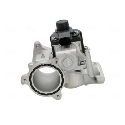 Zawór Egr Vw 1,9Tdi/2,0Tdi (Egr + Korpus) - NISSENS (NIS98592)
