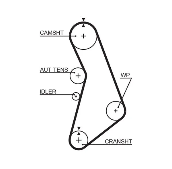 Fogasszíj - GATES (GAT5491XS)