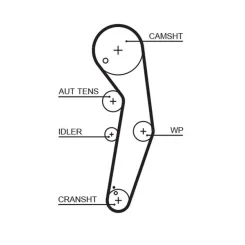 Fogasszíj - GATES (GAT5569XS)