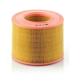 Légszűrő - MANN-FILTER (C18121)
