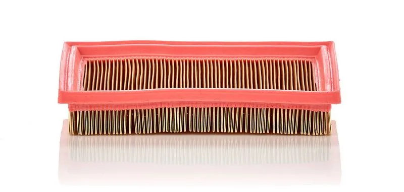 Légszűrő - MANN-FILTER (C2244)