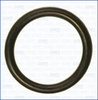Uszczelka Termostatu Vw Golf 2.0Tfsi 05- - AJUSA (AJU16098400)