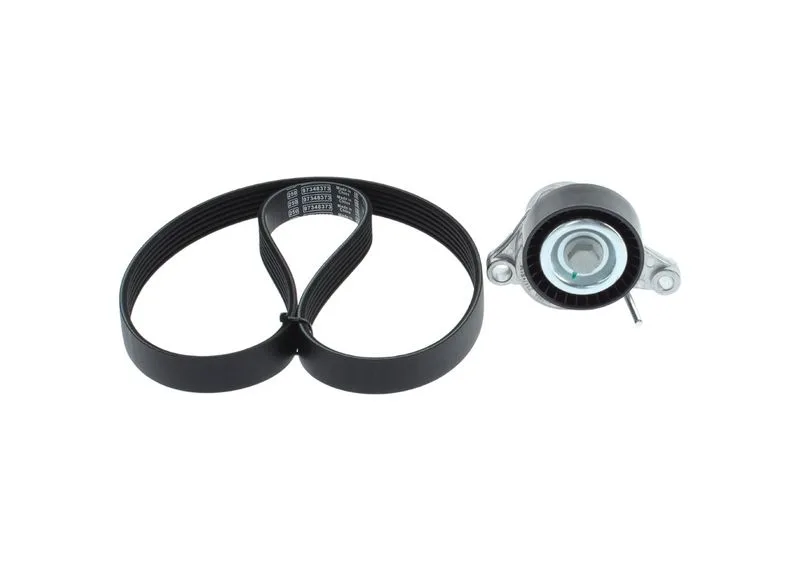 Zestaw Paska Wielorowk. Citroen 1,1-1,6 - BOSCH (1987600729)