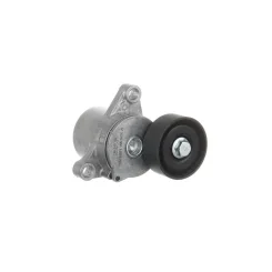Napinacz Paska Wielorowk. Bmw - SKF (VKM38871)