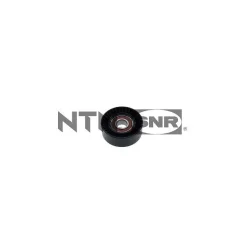 Napinacz Paska Wielorowk. Fiat/Jeep - SNR (GA35894)