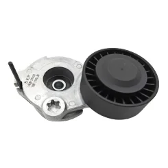 Napinacz Paska Wielorowk. Vw 3,0Tdi - SKF (VKM31313)