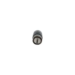 Filtr Paliwa Volvo Xc90 Ii, S90 Ii 02.16- - BOSCH (F026402169)