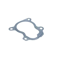 Uszczelka Rury Wyd. Renault Scenic 1.9Dci 02- - MAXGEAR (70-0553)