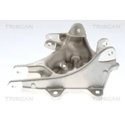 Zwrotnica Koła Tesla T. Model S 13- Pr (Zaw. Ze Sprężynľ, Napęd Na Tył) - TRISCAN (850081714)