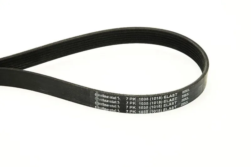 Pasek Wielorowkowy 7Pk1038 Elast - CONTINENTAL CTAM (7PK1038ELAST)